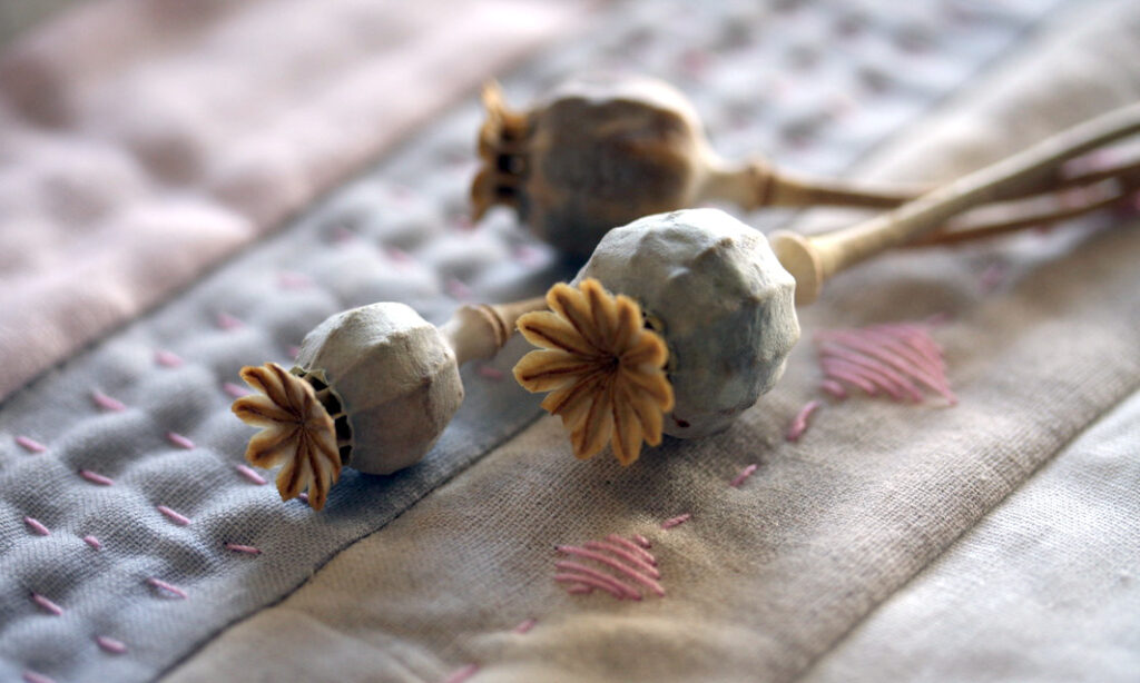 close up of some dried flowers and the table runner