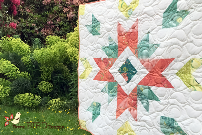 I took the Garden Star Quilt and pattern to Organ and got some beautiful photos