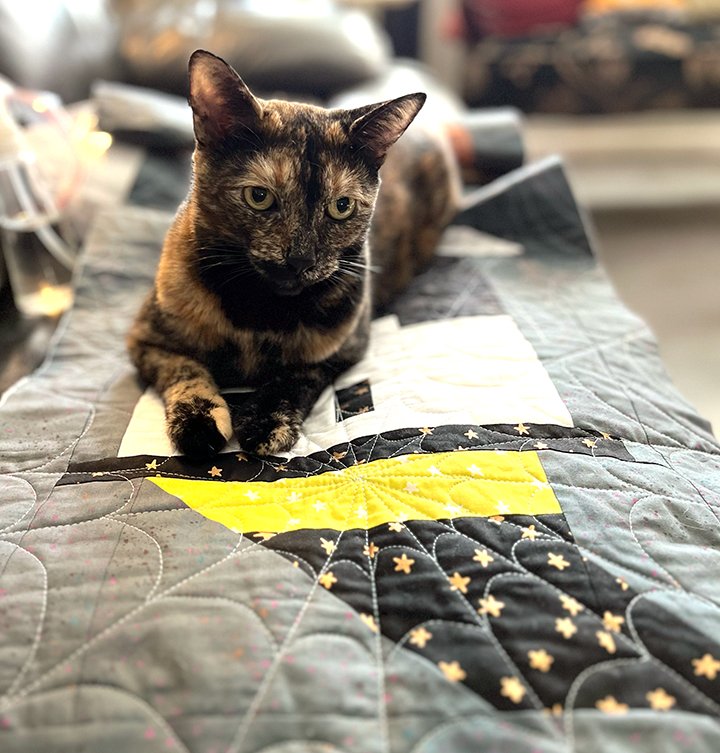 My cat on top of the quilt top I am quilting. I laid it out so I could see how it looks and Lenu decided to make it her bed.